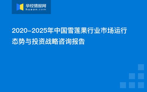 中國雪蓮果行業(yè)市場運行態(tài)勢與投資戰(zhàn)略咨詢報告